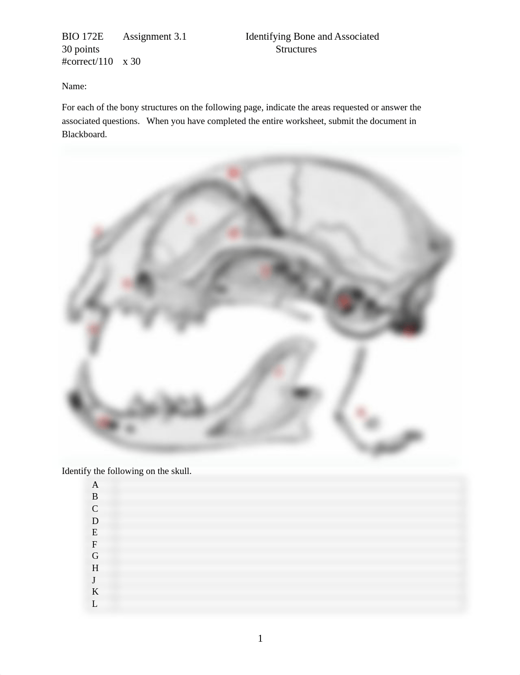 ASSN 3.1 Identifying Bone and Associated Structures.docx_dxcm25pnd3h_page1