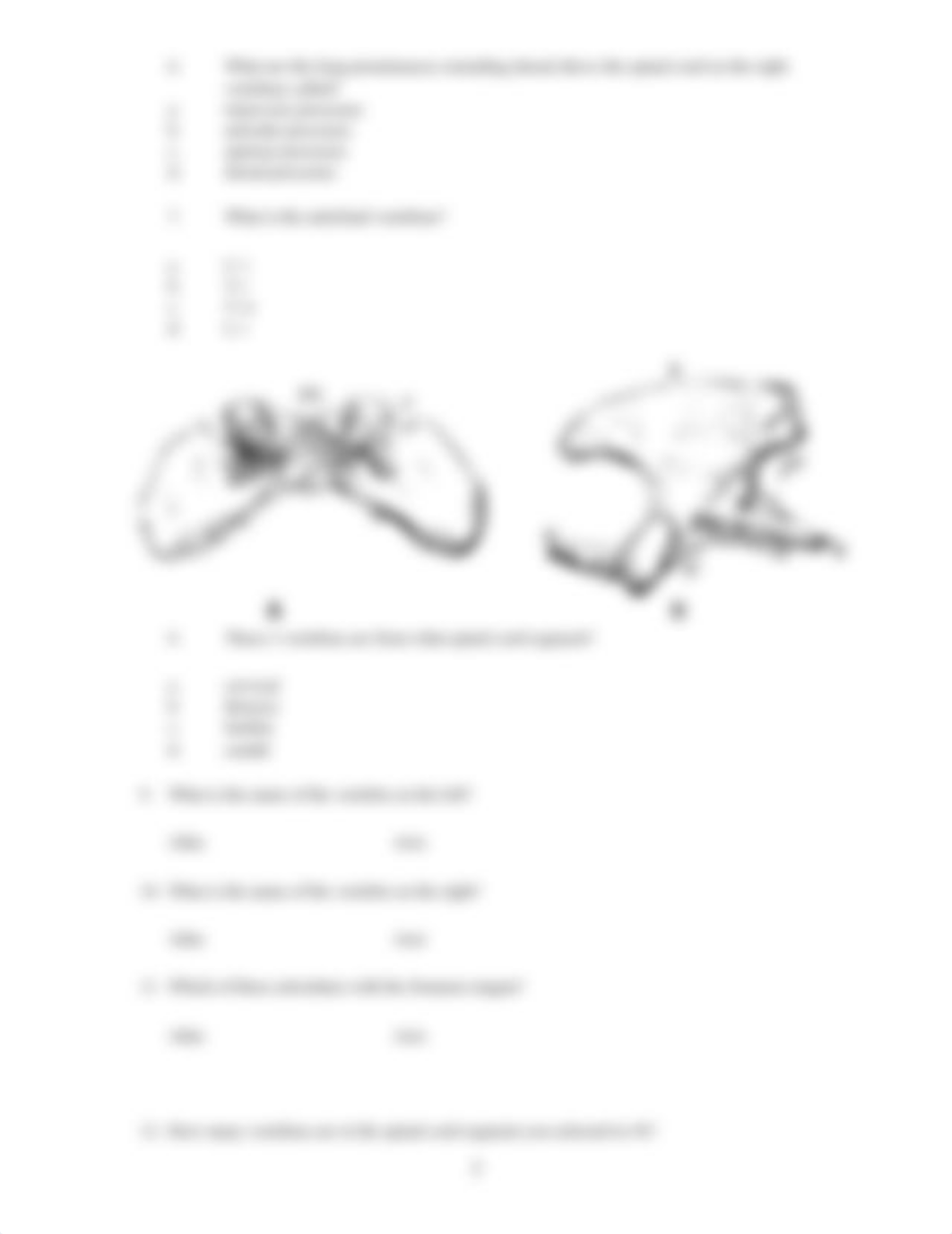 ASSN 3.1 Identifying Bone and Associated Structures.docx_dxcm25pnd3h_page3