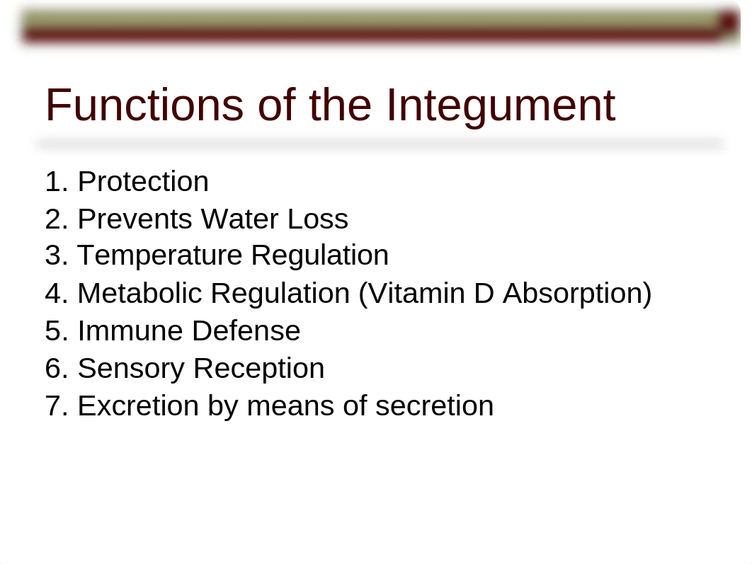 Lec 5 Integument.pptx_dxcnf1luh72_page3