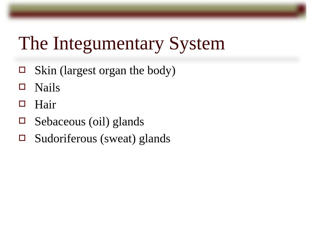 Lec 5 Integument.pptx_dxcnf1luh72_page2