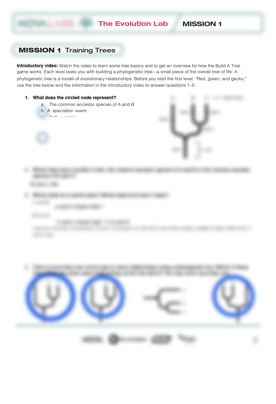 Marely Gonzalez - NOVA_Evolution_Lab_Worksheets.pdf_dxcs54zmeet_page2