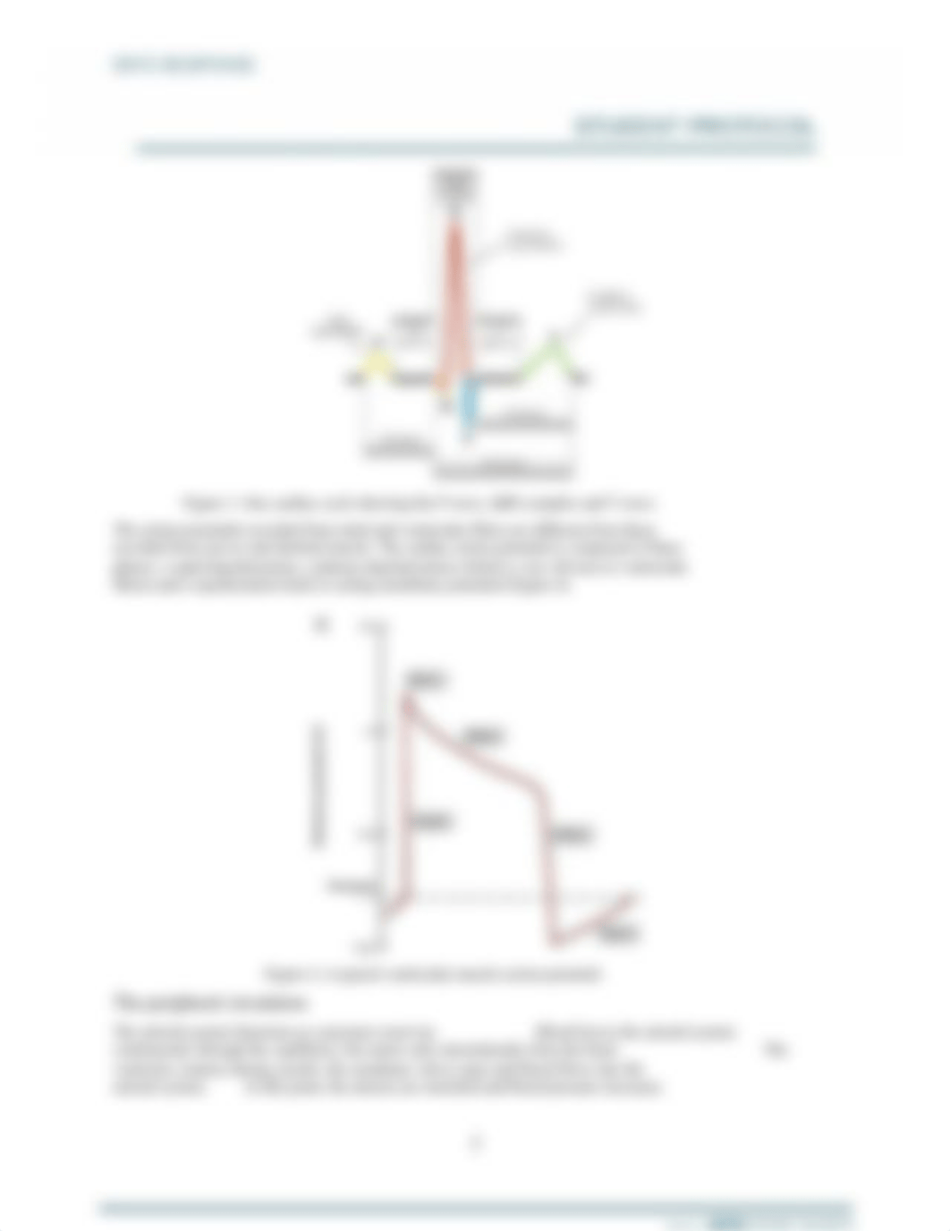 ECG+&+Dive+Response+Student+Protocol.docx_dxcs8lfzpw6_page3