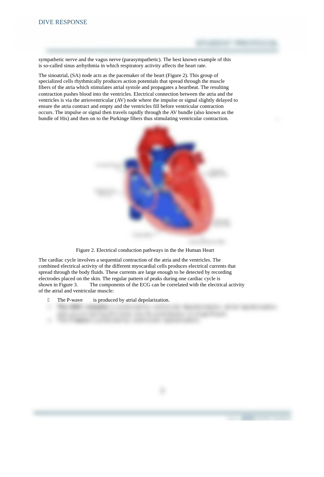 ECG+&+Dive+Response+Student+Protocol.docx_dxcs8lfzpw6_page2