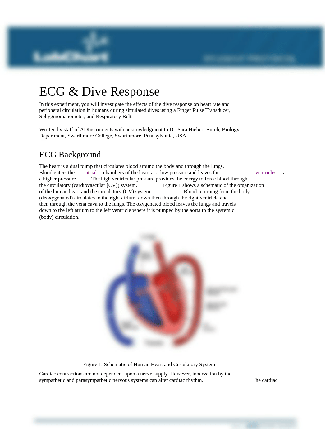 ECG+&+Dive+Response+Student+Protocol.docx_dxcs8lfzpw6_page1