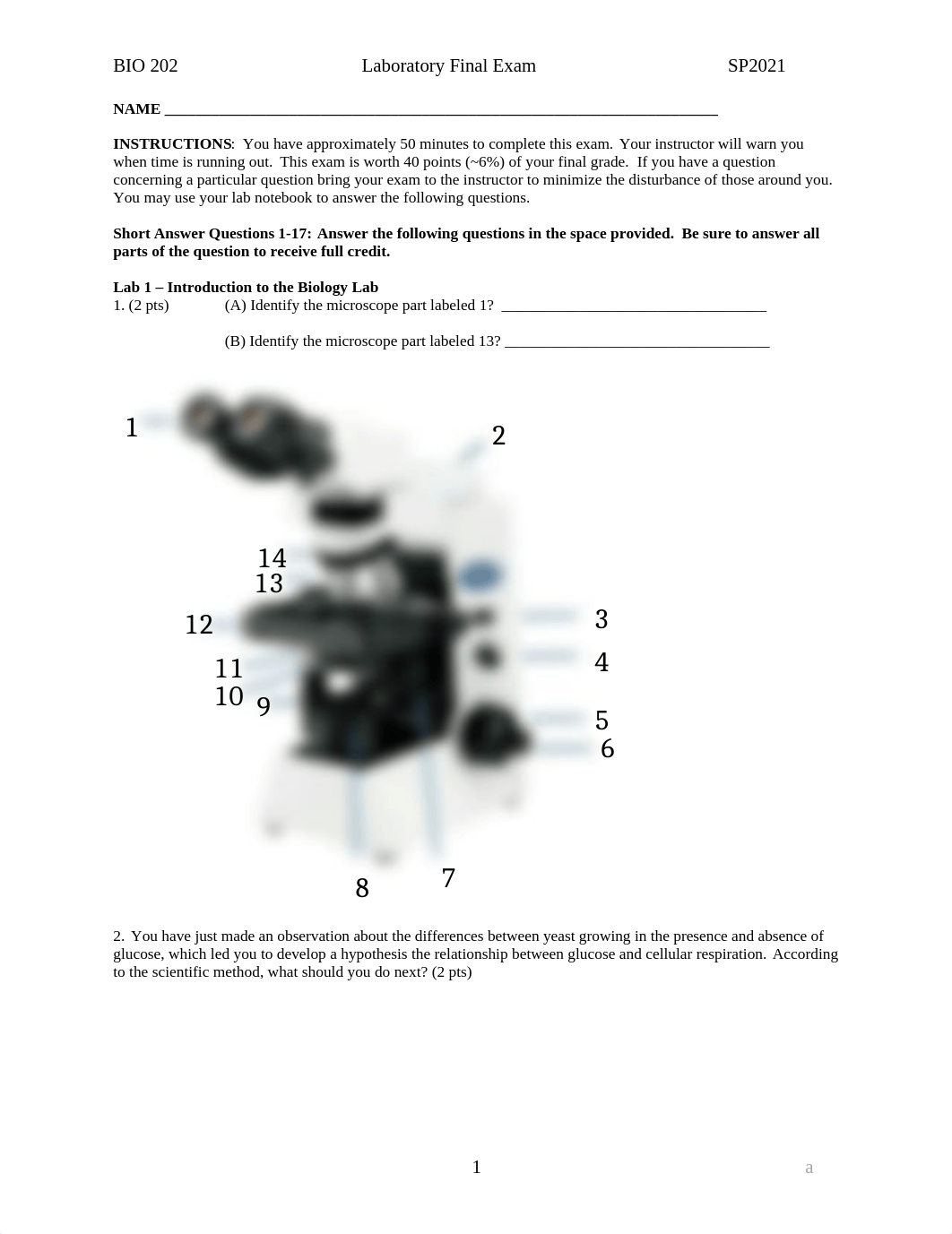 Lab Final Exam SP2021.doc_dxcw4os5j72_page1