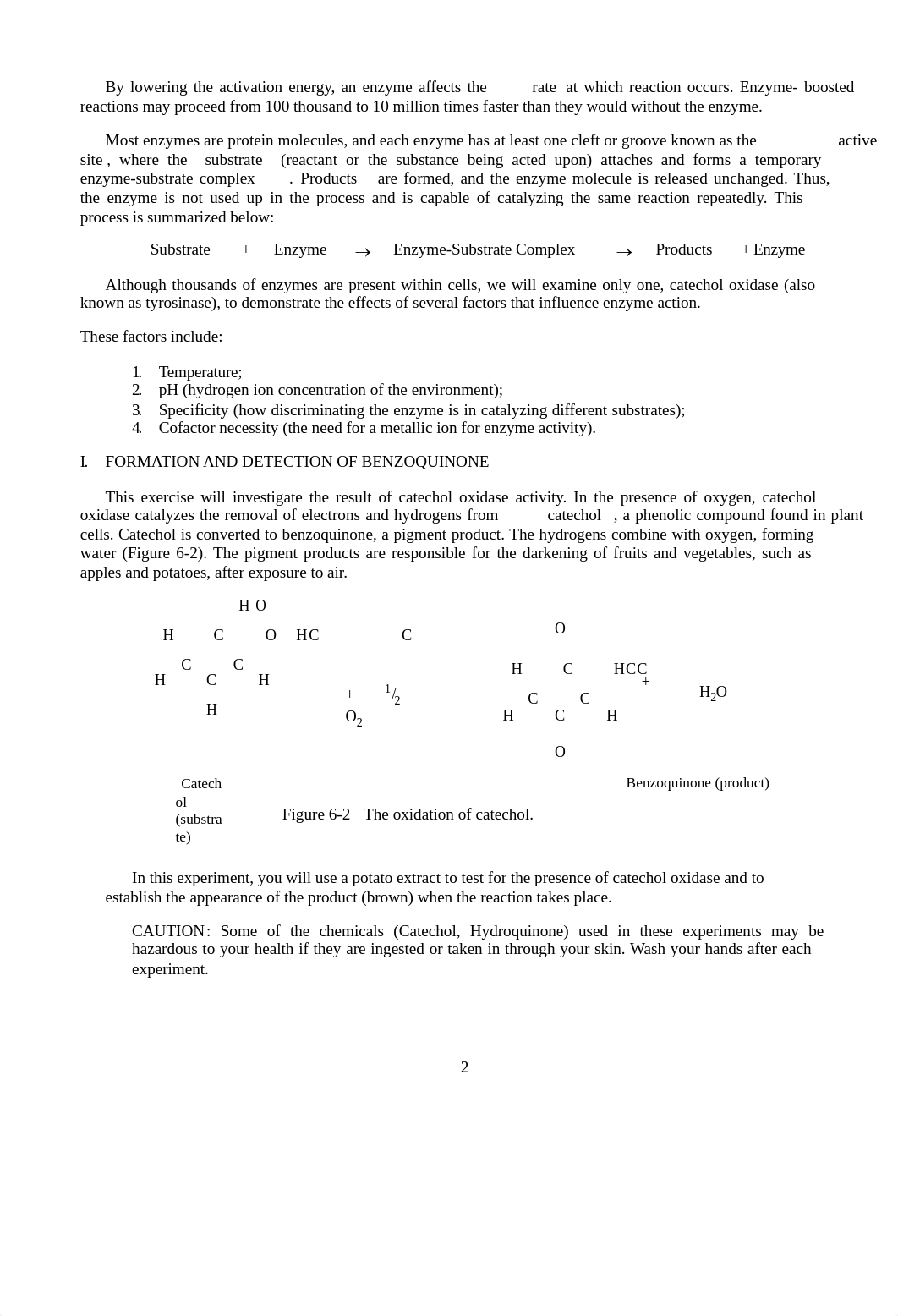 Lab 06 Enzymes.pdf_dxd7yibnyu0_page2