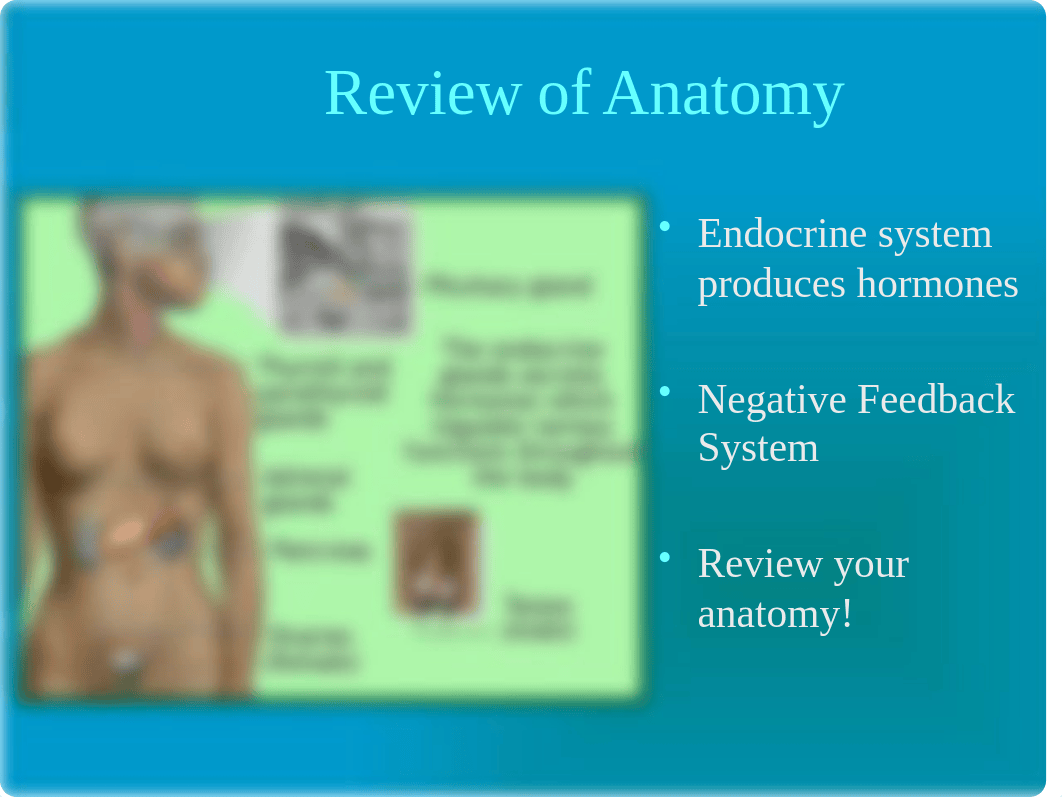 NURS 1906 Endocrine Pharmacology ppt.pptx_dxd95mj98rq_page2