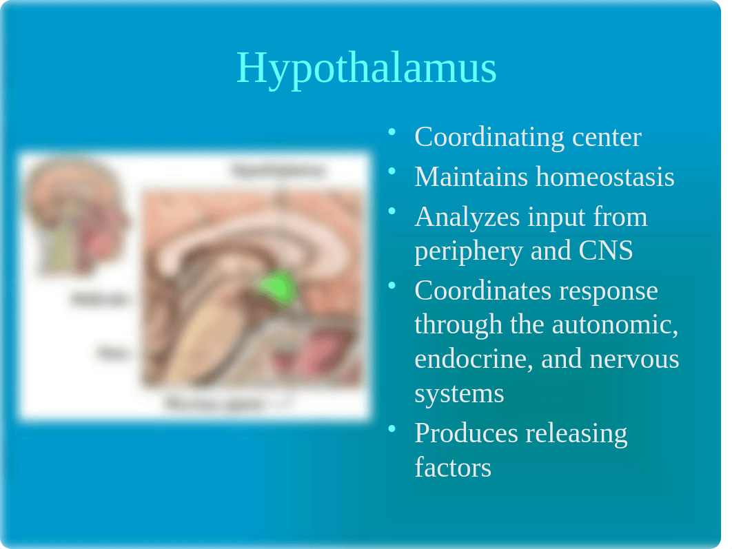 NURS 1906 Endocrine Pharmacology ppt.pptx_dxd95mj98rq_page5