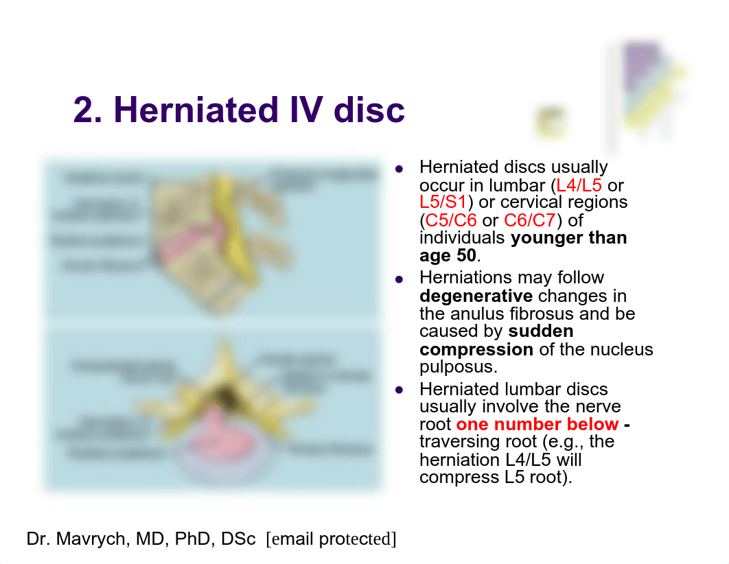 01 Anatomy Shelf Notes.pdf_dxdbsq9hgmp_page5