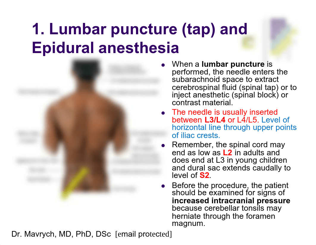 01 Anatomy Shelf Notes.pdf_dxdbsq9hgmp_page3