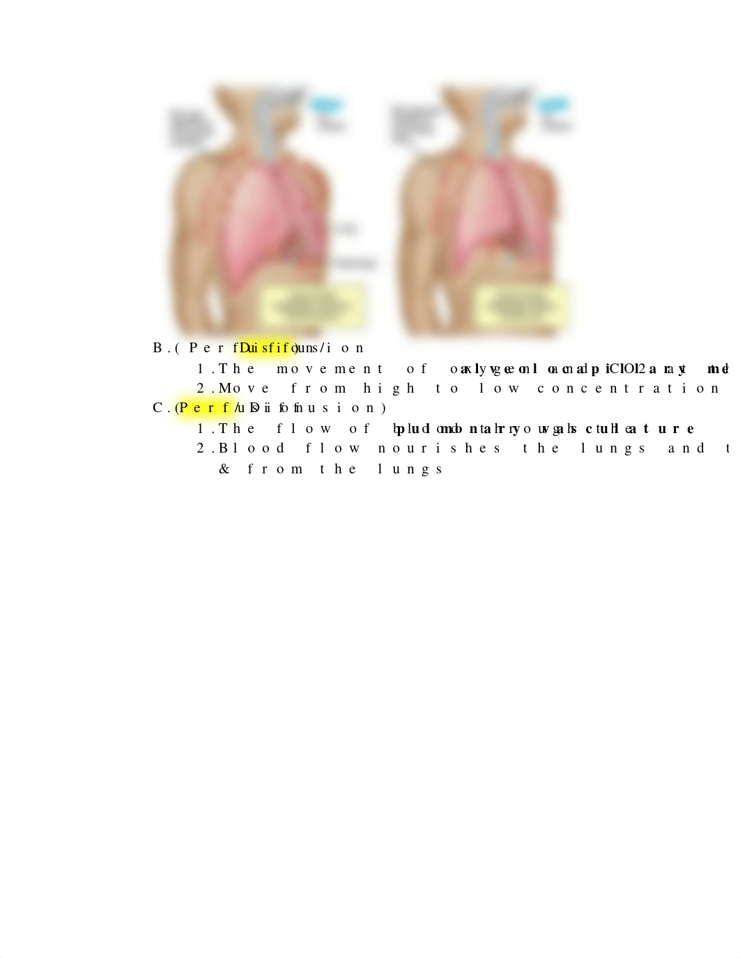 Respiratory.docx_dxdeq44z53k_page2