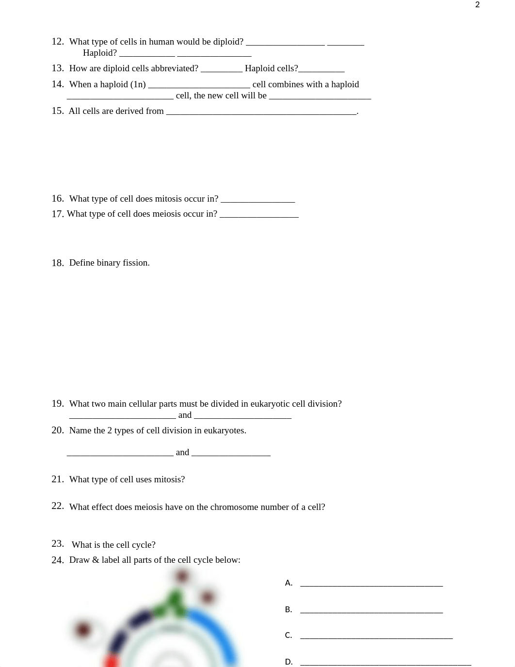 Chapter 12 Study Guide Worksheet.docx_dxdlkazenem_page2