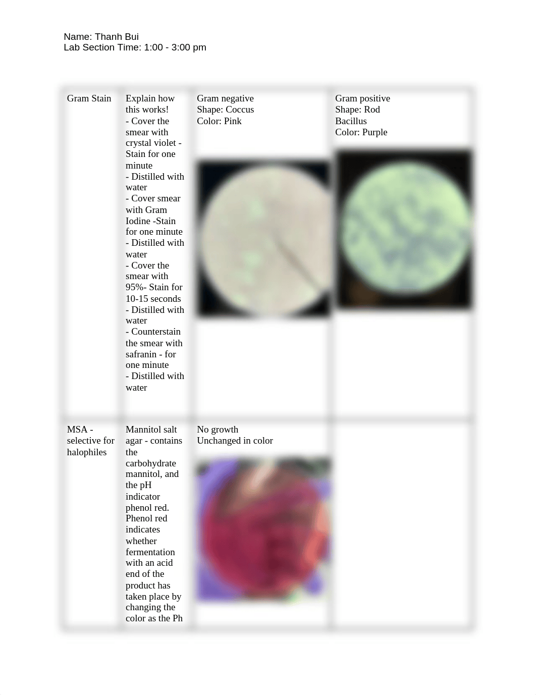 Bacterial ID Project.docx_dxdpir53848_page3