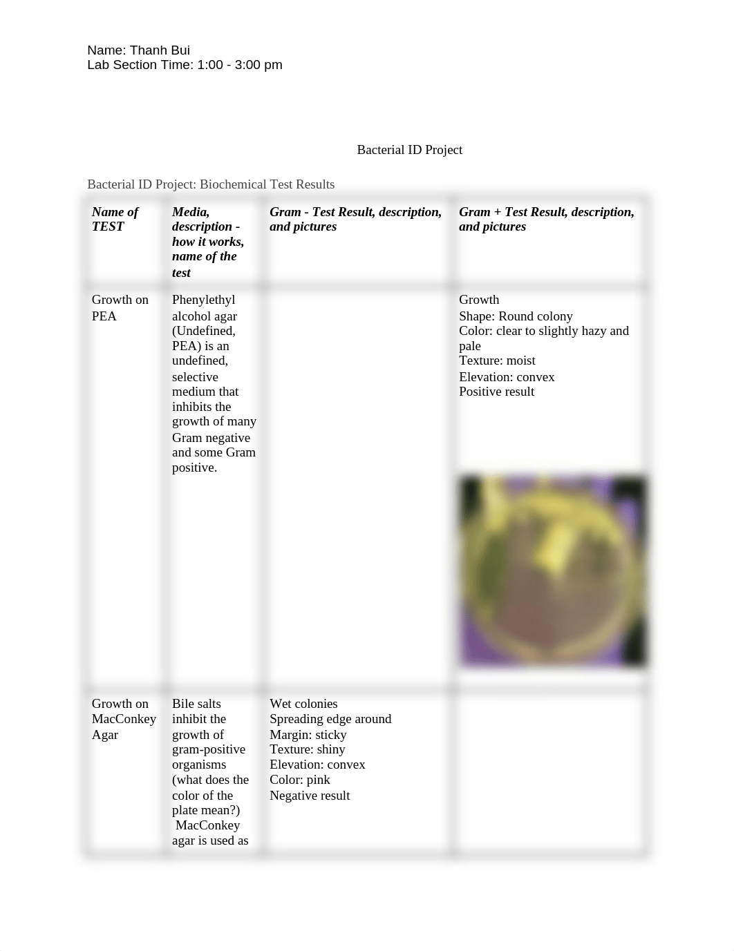 Bacterial ID Project.docx_dxdpir53848_page1