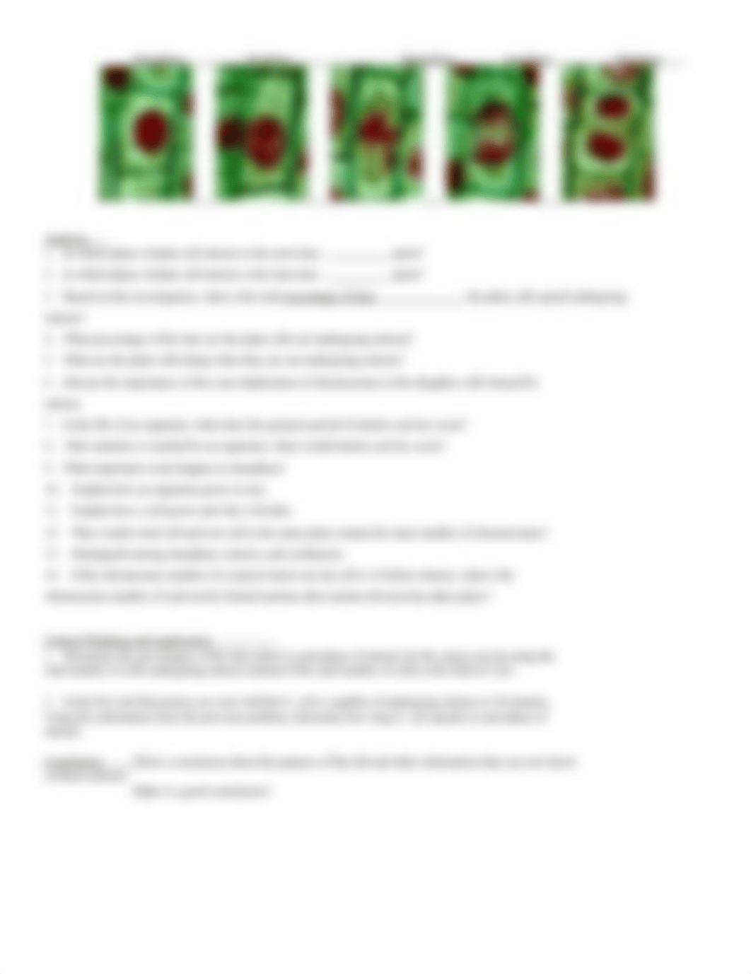 Mitosis Long Lab 2012.docx_dxdqy7n130x_page2