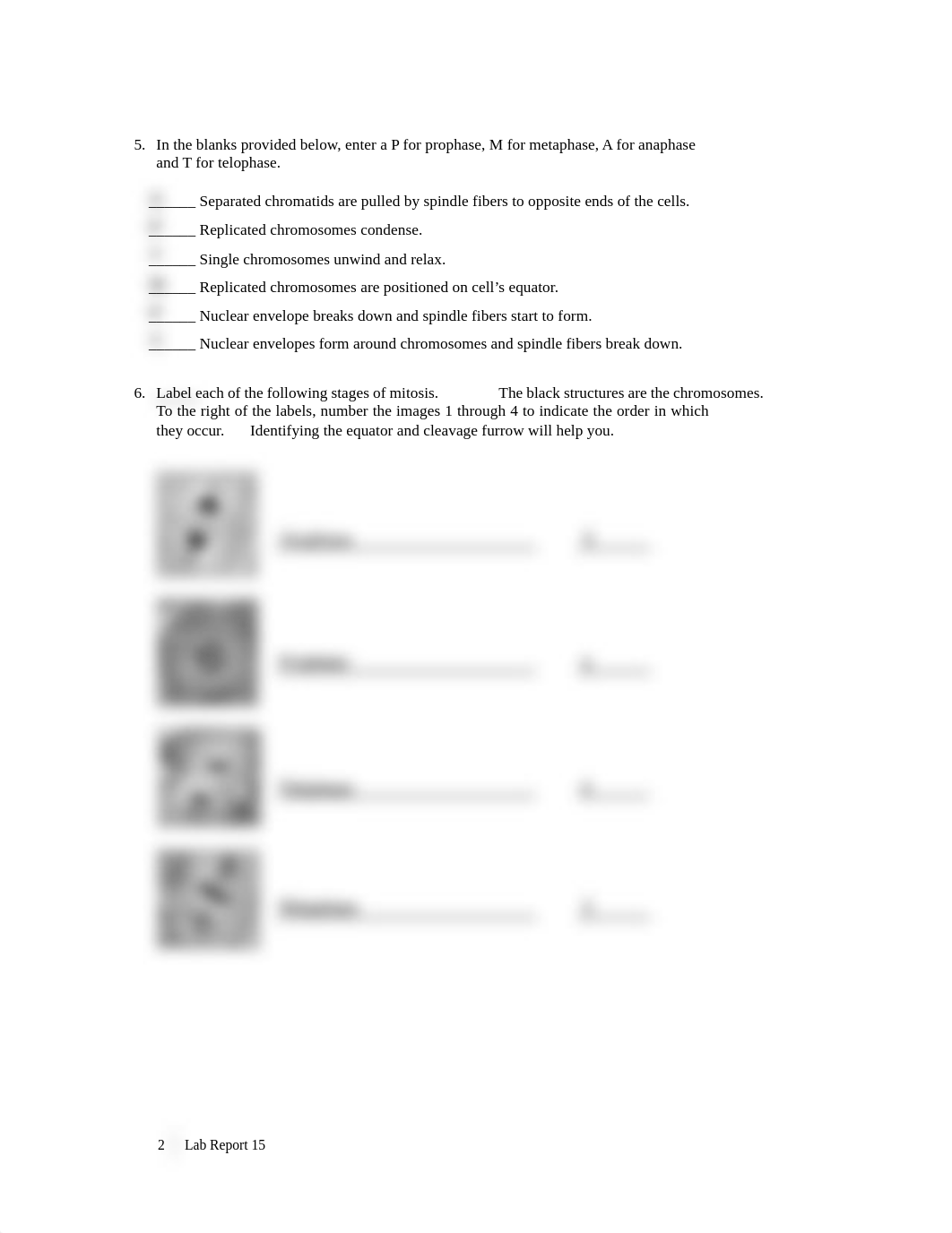 Lab Report 15 Pop-Bead Mitosis.pdf_dxdwe9cyful_page2