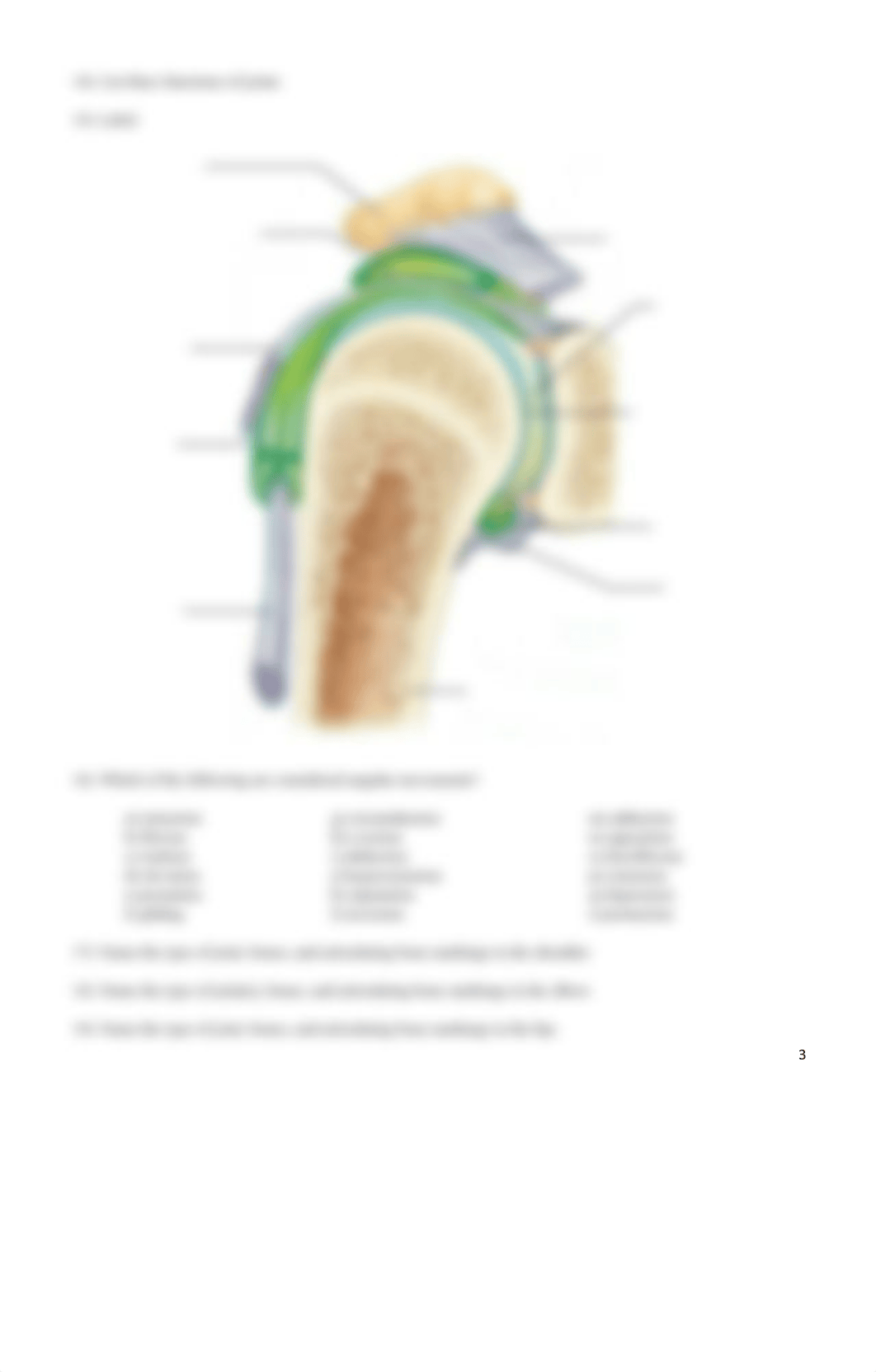 Exam 2 worksheet.pdf_dxe373vd77s_page3