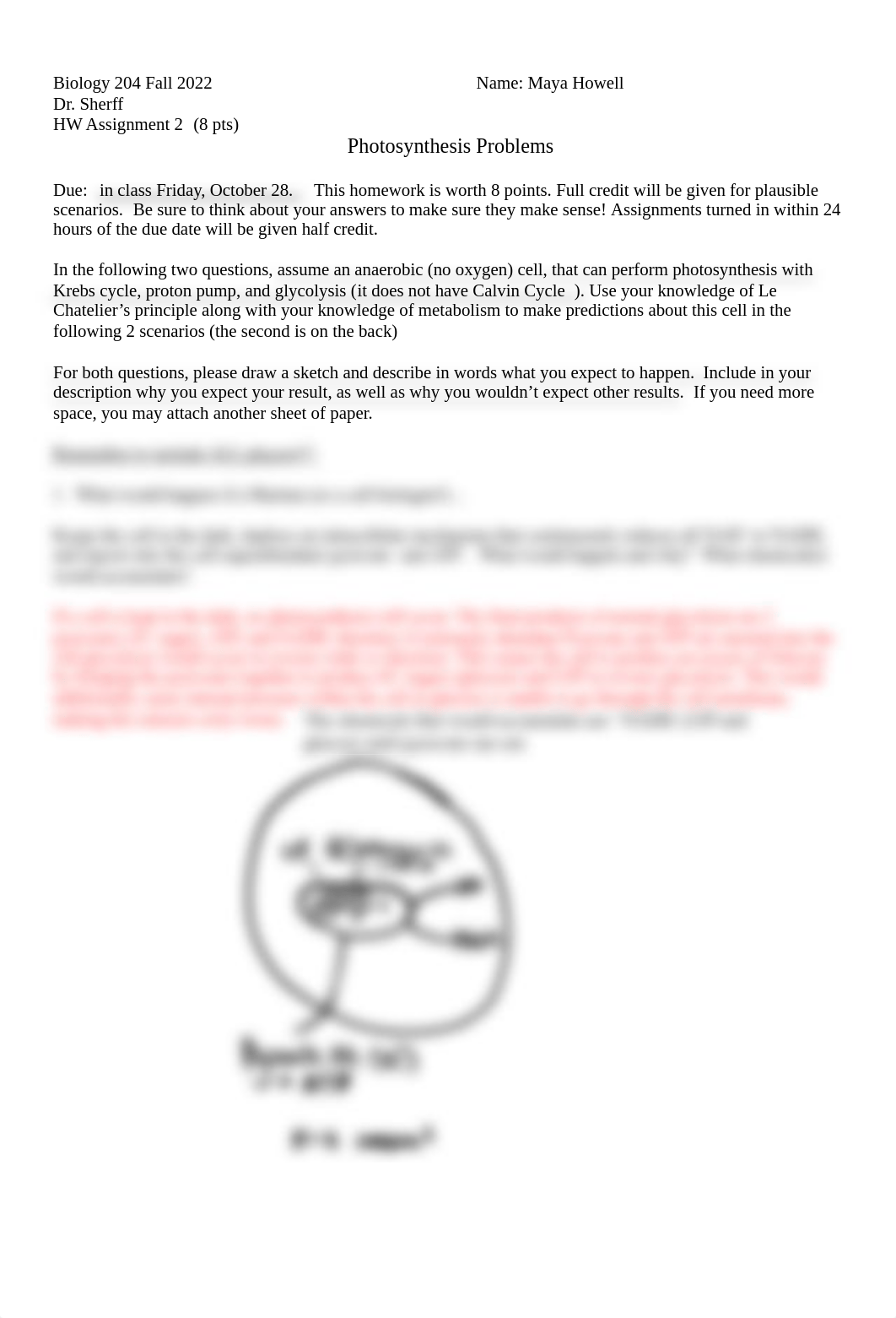 Photosynthesis HW2_FA2022.pdf_dxe4o6ez8bi_page1