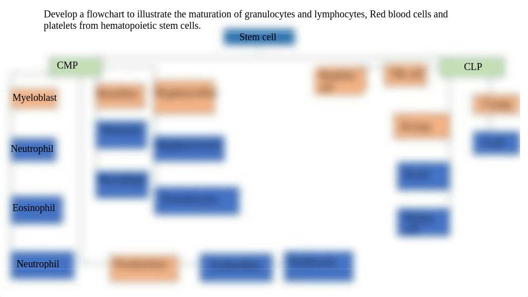 Cell lineage flow chart-1.pptx_dxeb0b9oe23_page1