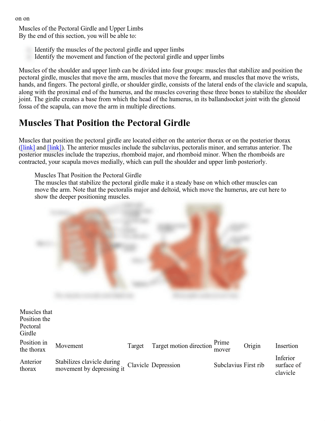 Muscles of the Pectoral Girdle and Upper Limbs_dxecicf4eu1_page1