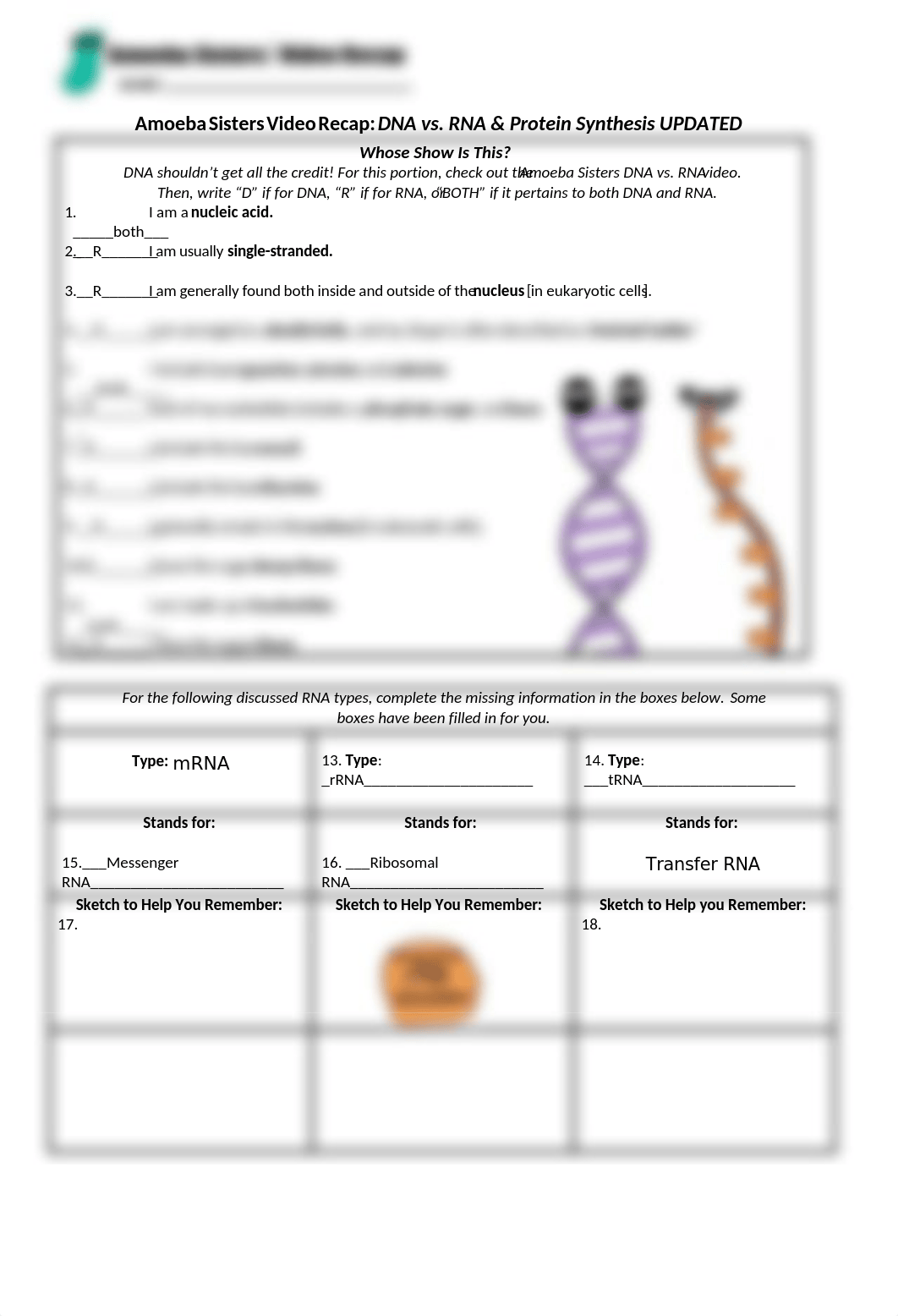 DNA vs RNA.docx_dxecz243boc_page1