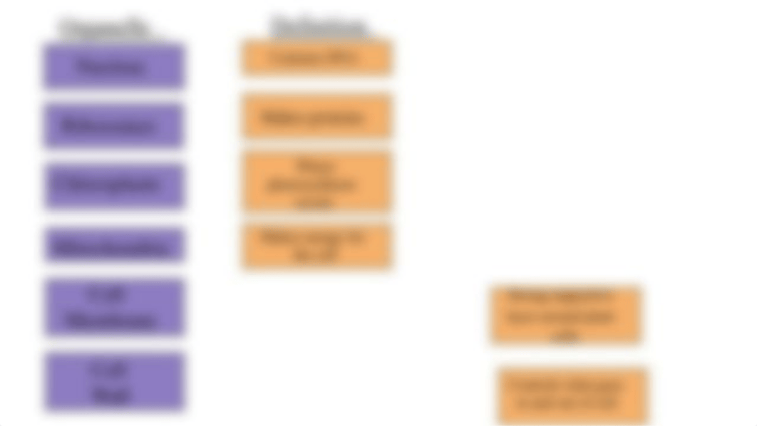 Copy_of_Partial_Answer_Key_Labeling_Eukaryotic_Cell_Structure_dxekleijg6v_page5