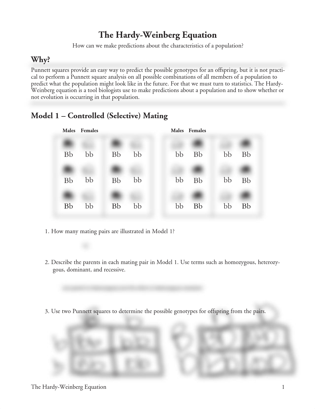 Kami Export - 23 The Hardy-Weinberg Equation-S.pdf.pdf_dxelxq6ecew_page1