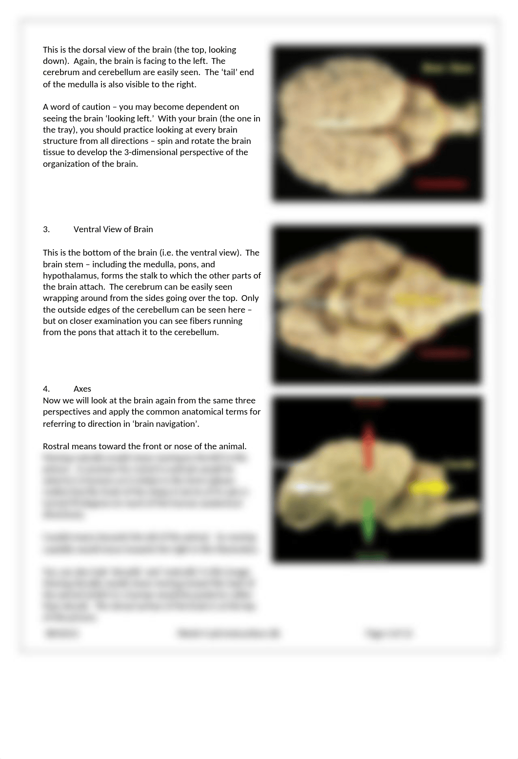 W4 Lab Instructions.docx_dxem43294zc_page3