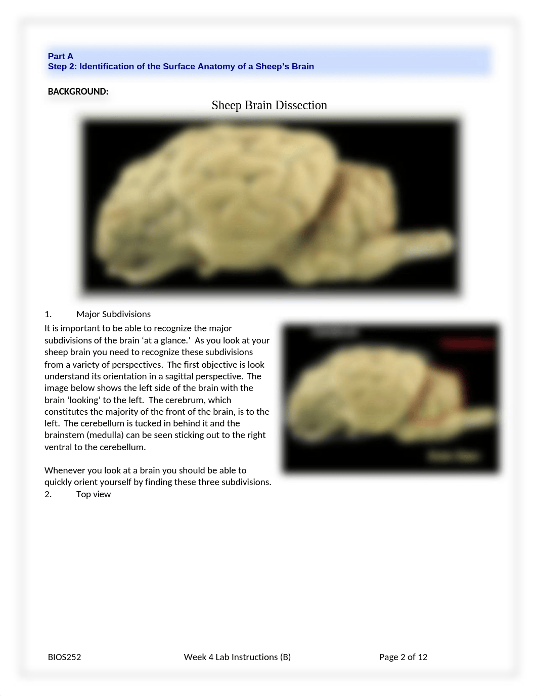 W4 Lab Instructions.docx_dxem43294zc_page2