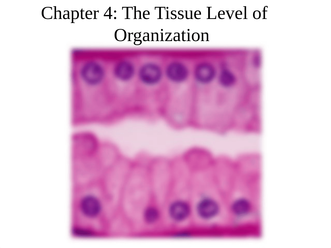 Chapter 4 Lecture F13.ppt_dxen1crf03r_page1