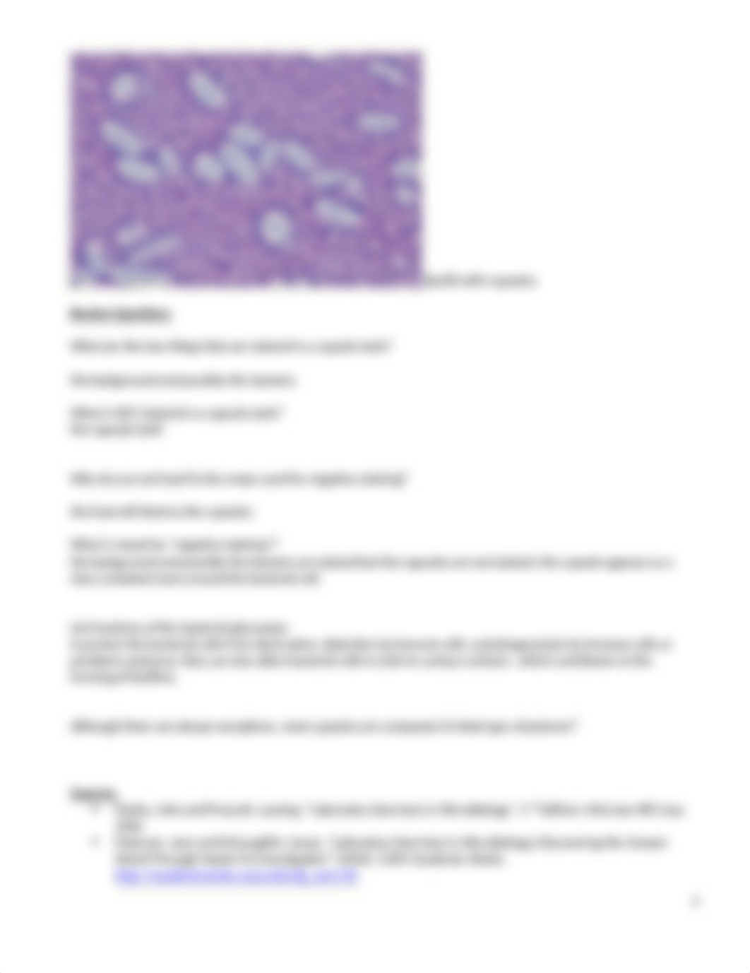 Lab Ex. 9 - The Capsule Stain - Spring 2020.docx_dxeqfo0hcs9_page2