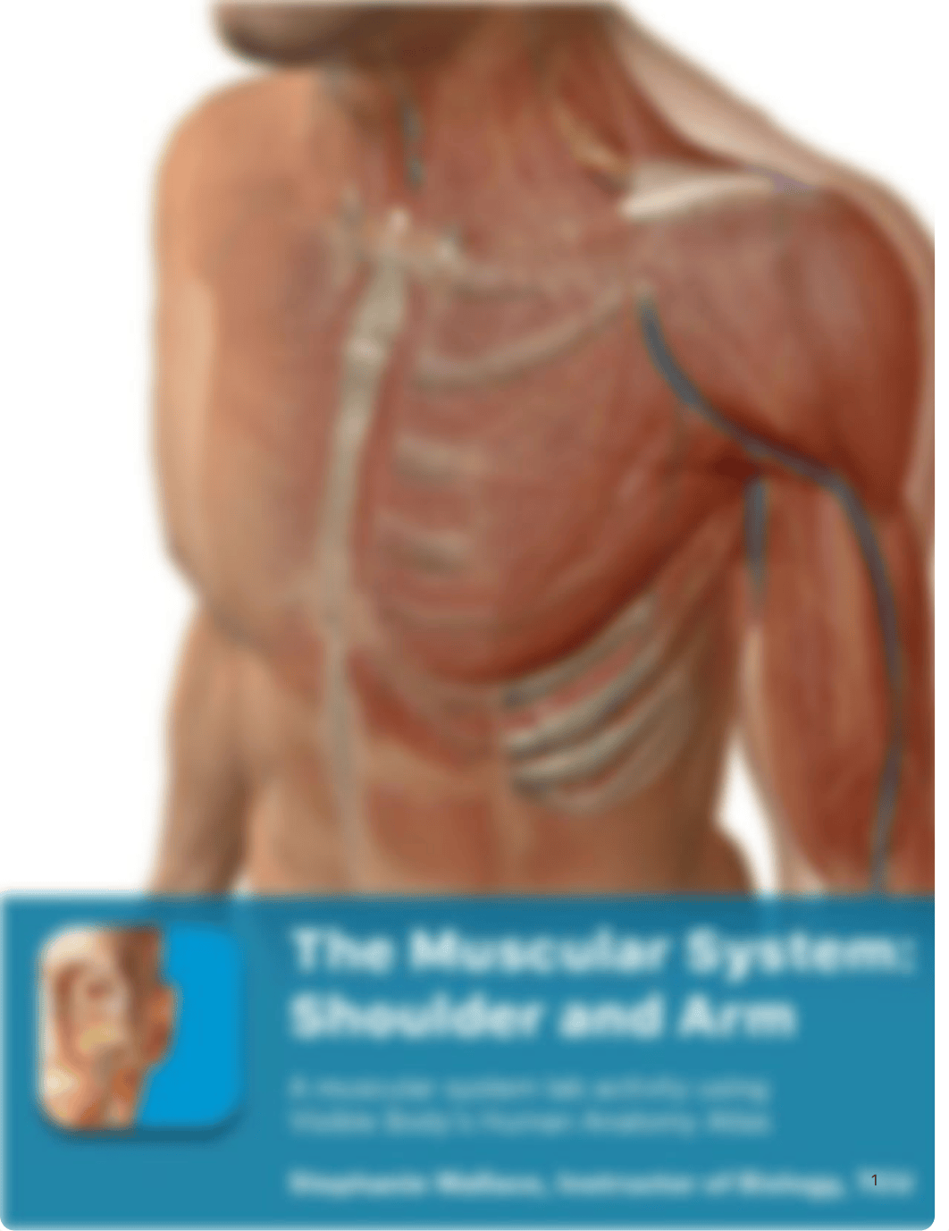 lab_manual_muscular_shoulder+arm_atlas.pdf_dxf0zl5fpql_page1