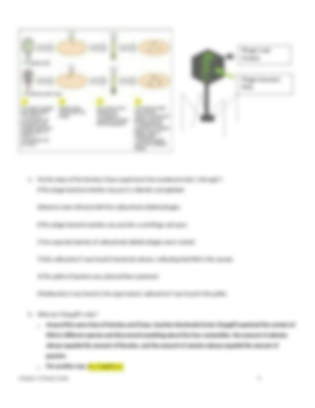 1140 Chapter 14 Study Guide.docx_dxf1sek6gpw_page3