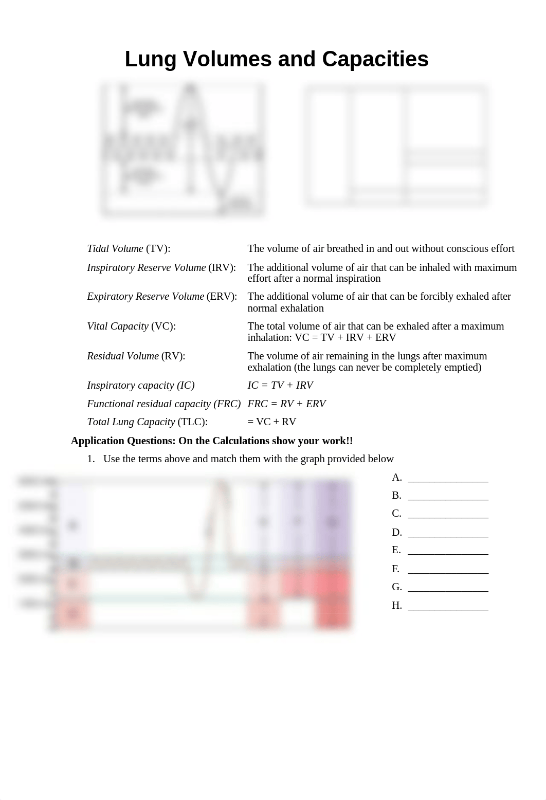 Lab 33 Lung Volumes.doc_dxf36l2rceb_page1