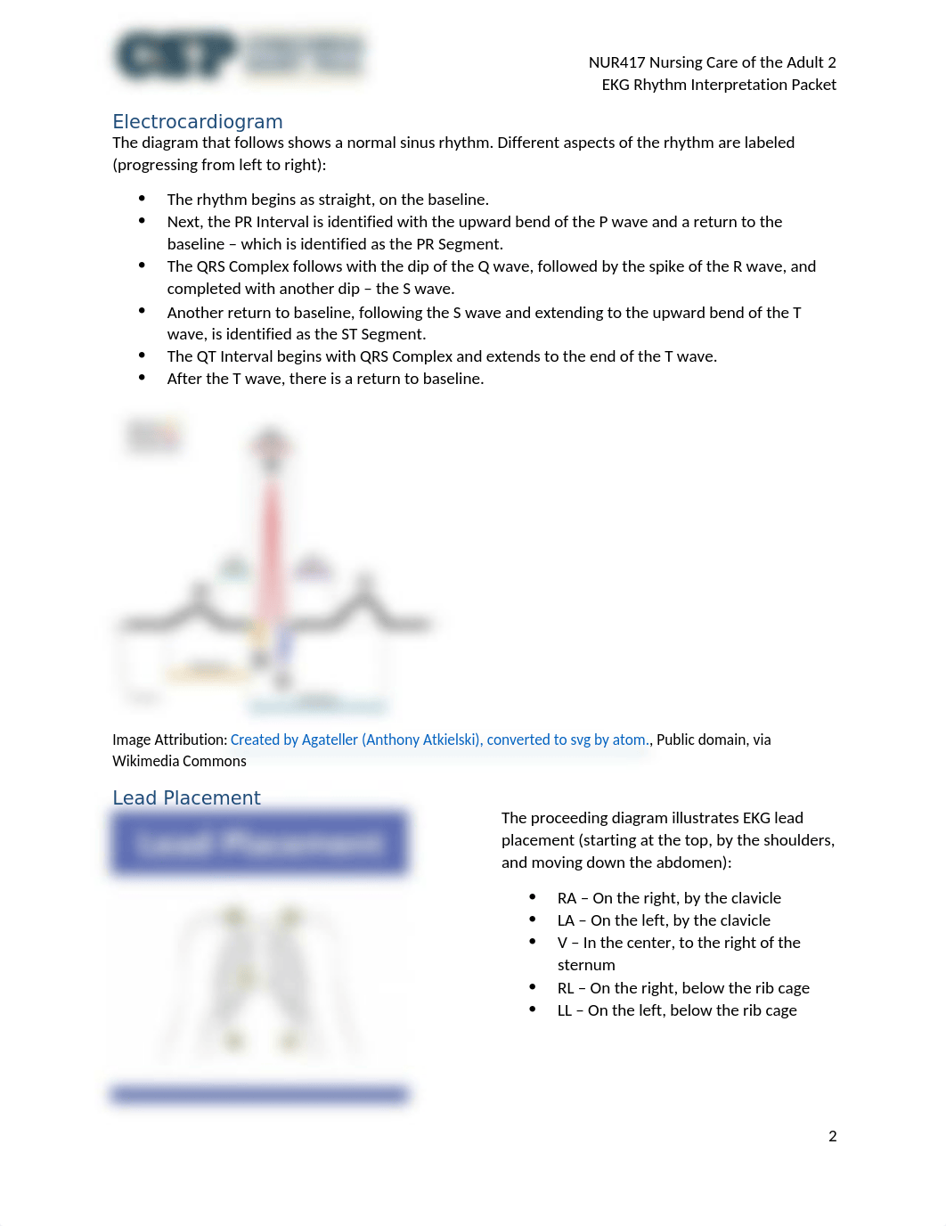 NUR417 EKG Rhythm Interpretation Packet.docx_dxfk1emvro9_page2