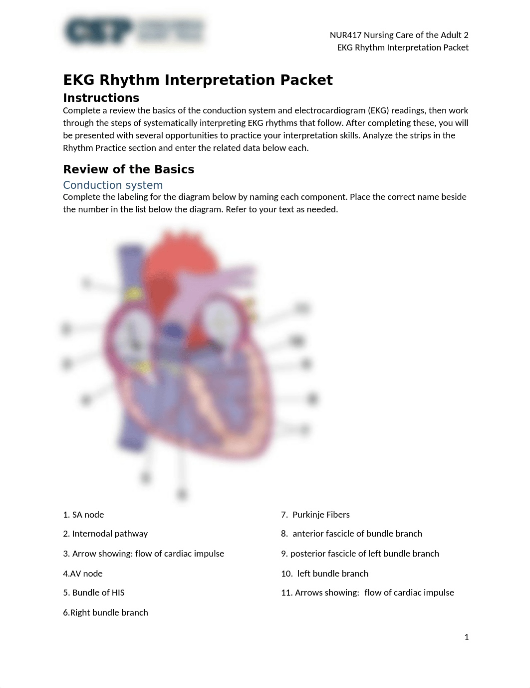 NUR417 EKG Rhythm Interpretation Packet.docx_dxfk1emvro9_page1