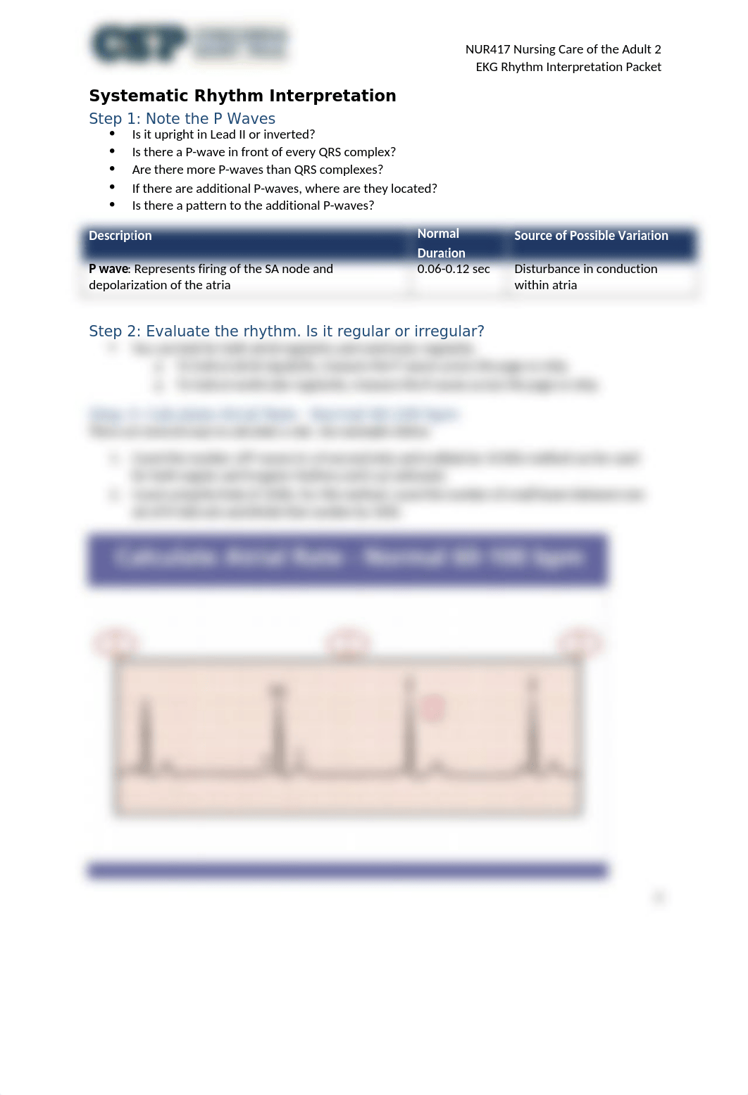 NUR417 EKG Rhythm Interpretation Packet.docx_dxfk1emvro9_page3