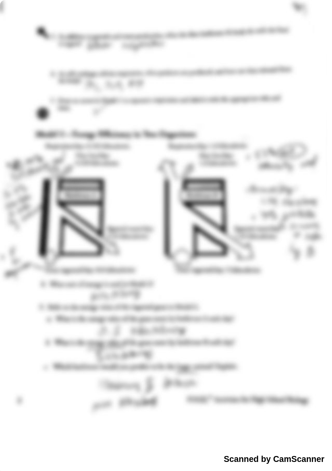 Energy Transfer in Living Organism_dxfqml8fzsm_page2