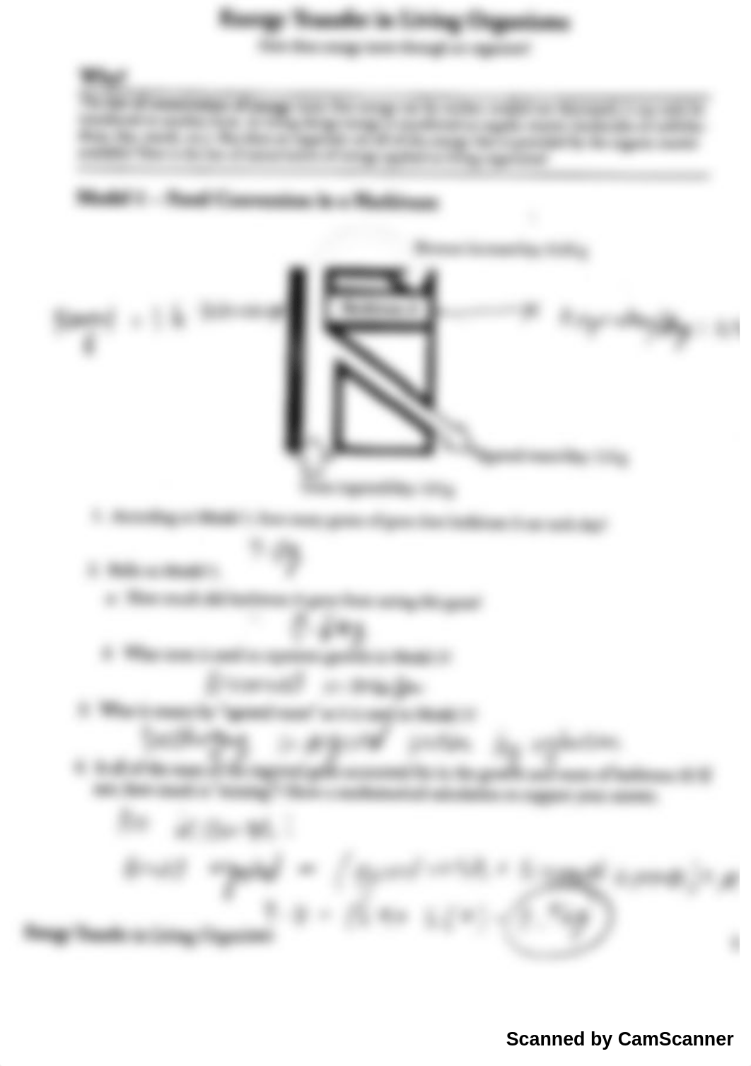 Energy Transfer in Living Organism_dxfqml8fzsm_page1