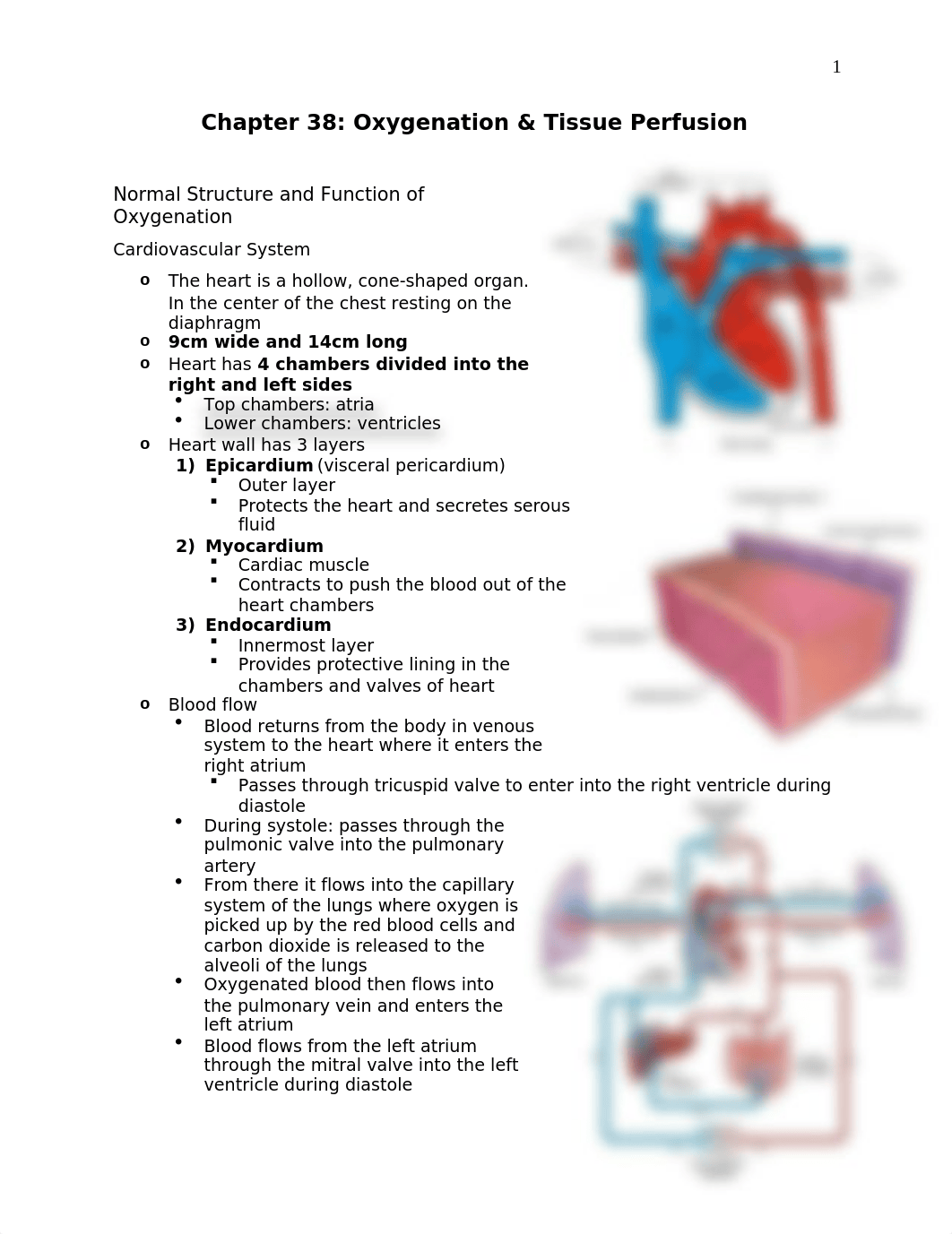 Exam 4 week 9.docx_dxfs7369p4e_page1