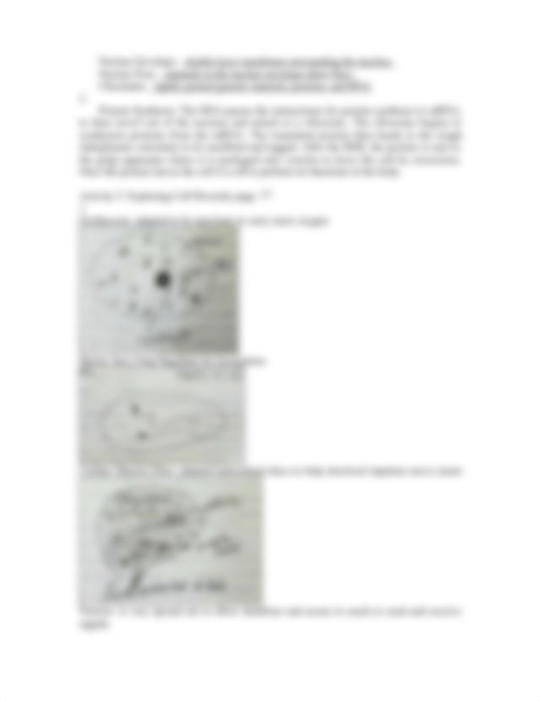 Lab Assignment Tissues (2) Erin Jones.docx_dxfxq56qhq3_page4