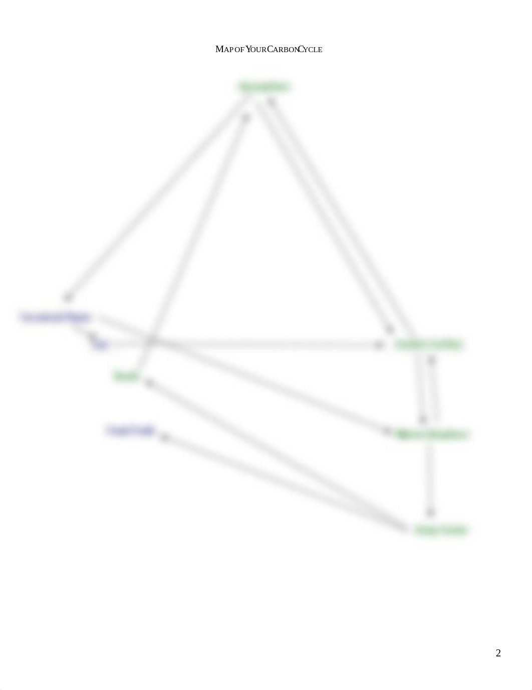 01 Carbon Cycle Simulation - online.doc_dxg0kguu0wq_page2