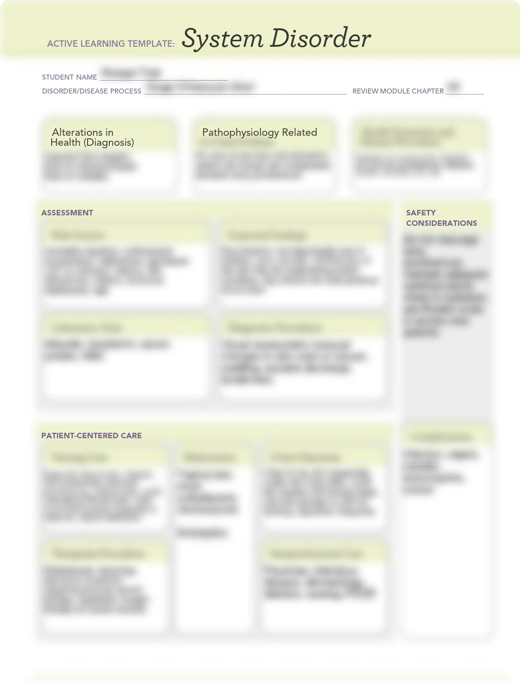 Pressure Ulcer Template.pdf_dxg6soyf853_page1