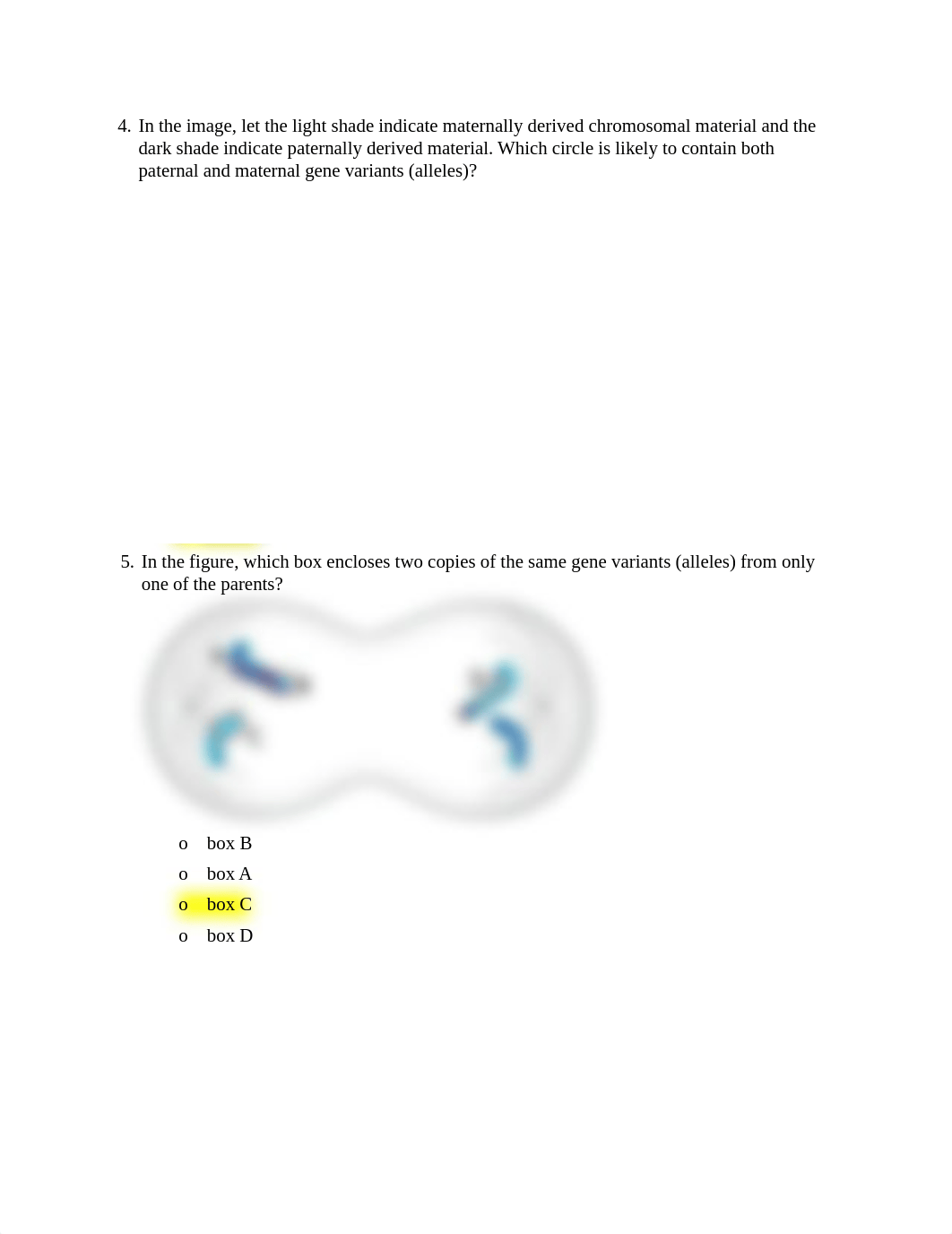 Animation Assessment meiotic cell division.pdf_dxg6xiazian_page2