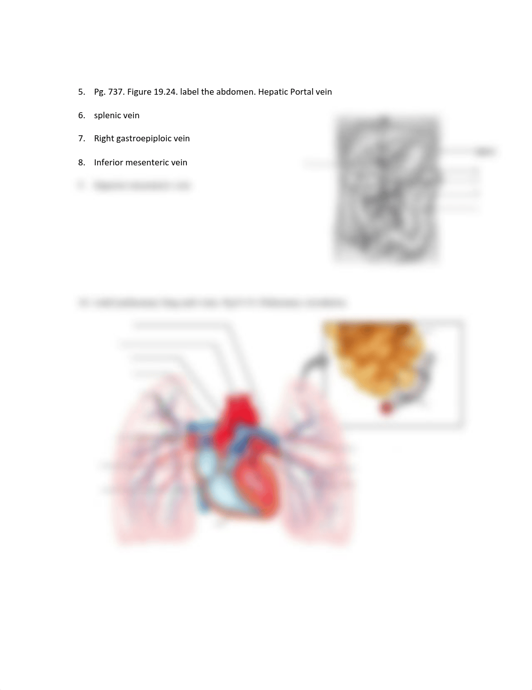 Bio 227 quiz 2 - page 3.pdf_dxgazw1eg5e_page1