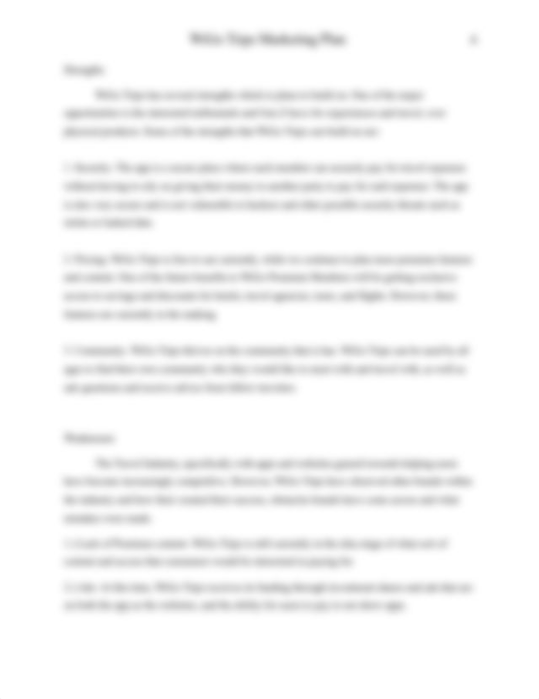 Marketing Plan- BUS 656.docx_dxgek0abqka_page4