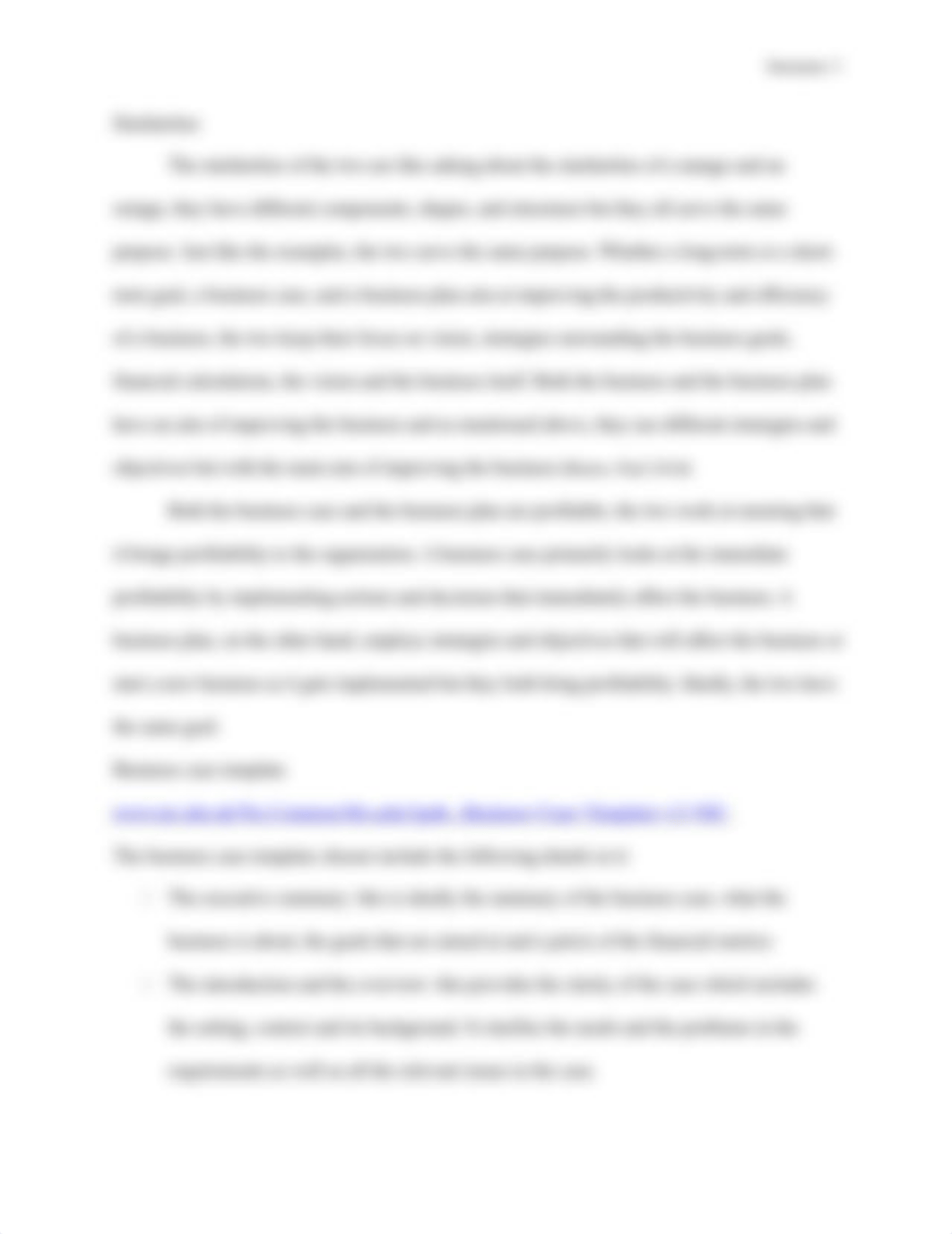 Business case and Business plan.docx_dxgfbqgcf6w_page3