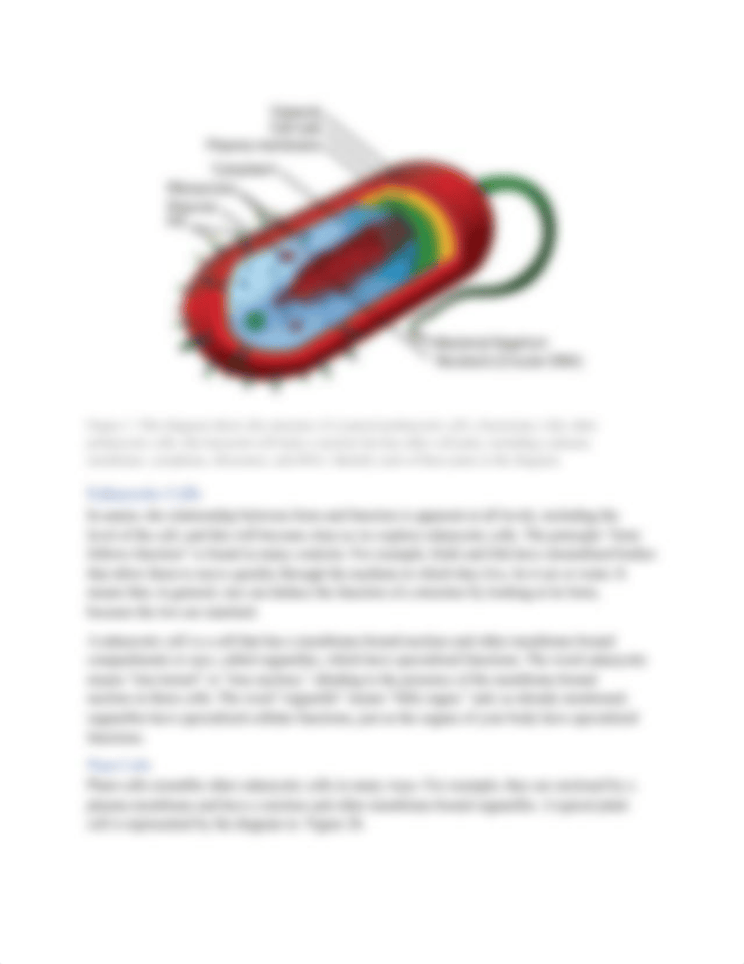 Lab 6. Cell Structure and Function.pdf_dxgfg593qb9_page3