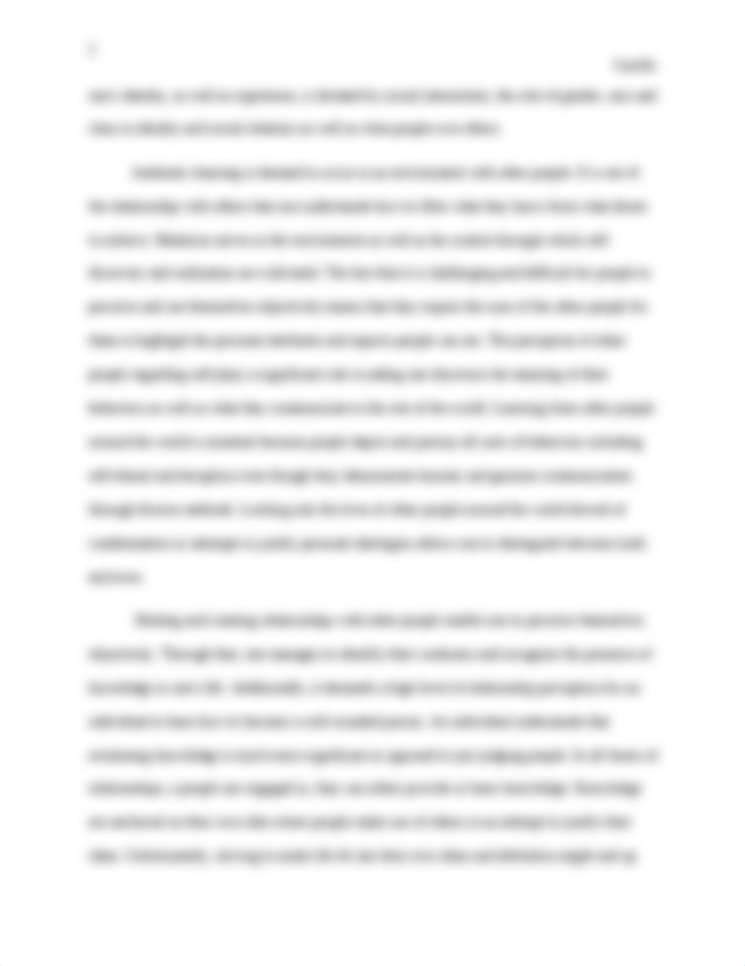 Personal Identity - Essay #2.docx_dxgj2n335lp_page2