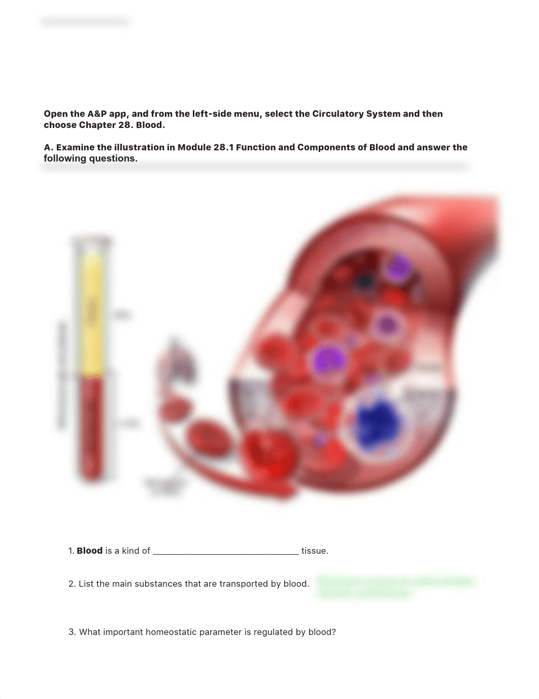 Blood VB PDF - Answer Key.pdf_dxgqvjoubie_page2